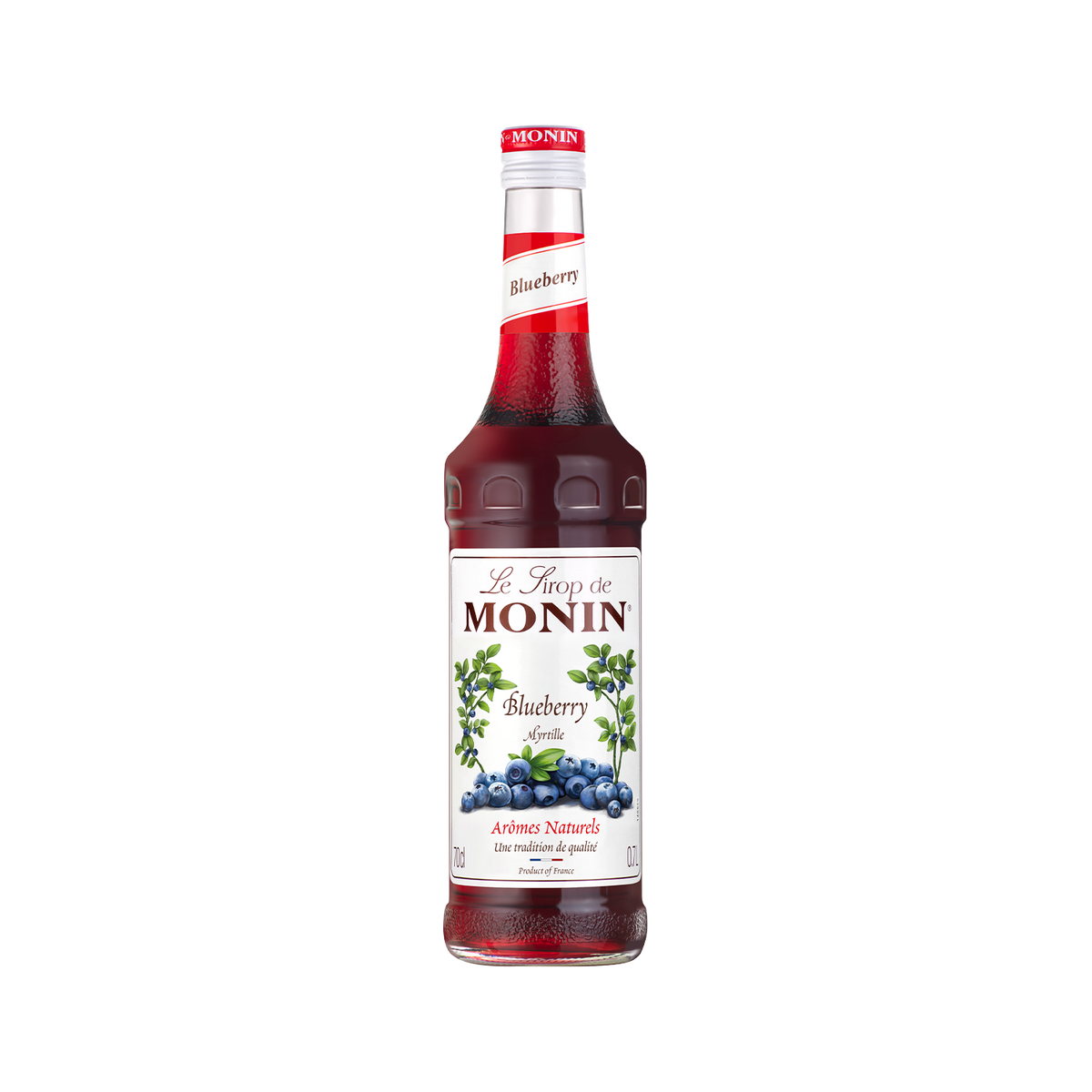 Monin Syrup Blueberry 700ML