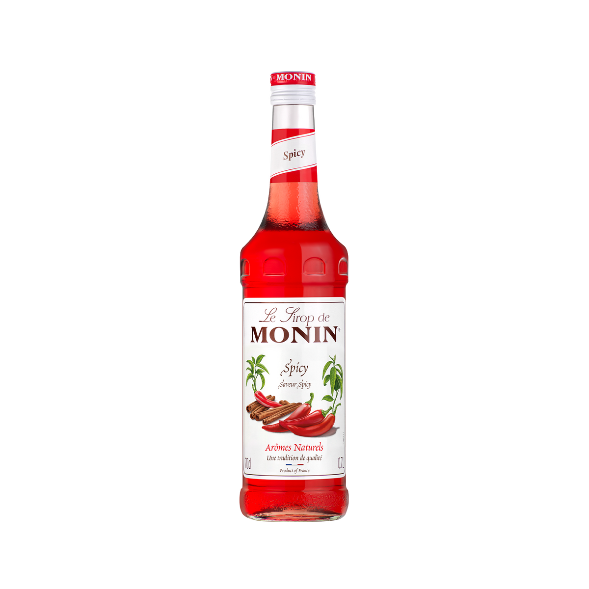 Monin Syrup Spicy 700ML